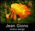 /album/termeszet/jean-giono-aranysarga3-gif/